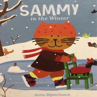 Sammy in the winter