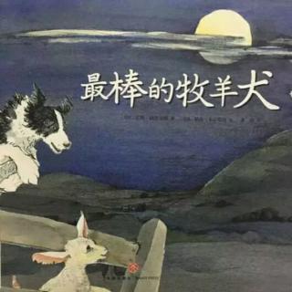 济南市高庄中心幼儿园童心故事汇《最棒的牧羊犬》
