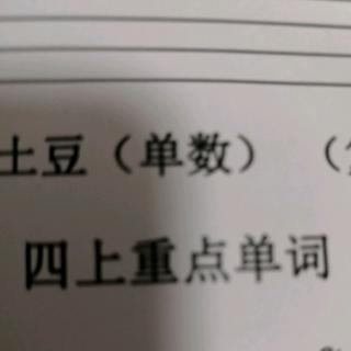 四上重点单词英译汉