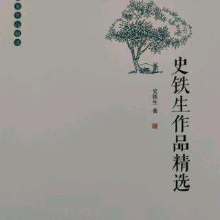 合欢树