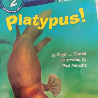 platypus 5~7