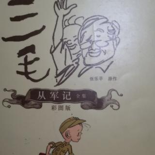 三毛从军记（四）