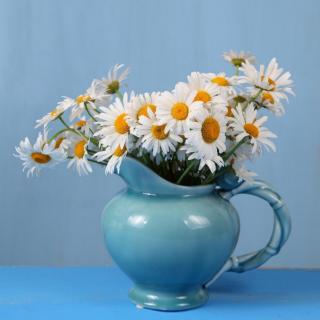 小巴掌童话之森林里的红鬼和蓝鬼 象先生客厅里的画