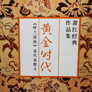 1.《黄金时代》片尾曲罗大佑《只得一生》