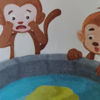【光明幼儿园睡前故事】猴子捞月亮🌙