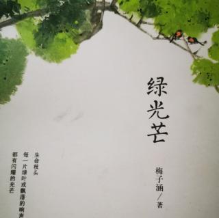 梅子涵《绿光芒》——快递