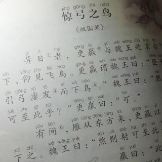 惊弓之鸟