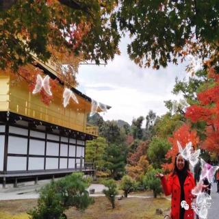 2019年11月日本研学旅行分享！