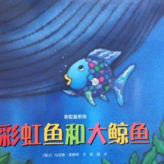幼专金海湾幼儿园  尚老师——《彩虹鱼和大鲸鱼》
