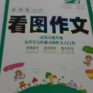 小学生看图作文     小公园