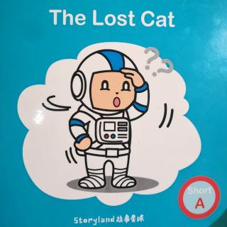 The Lost Cat (1)