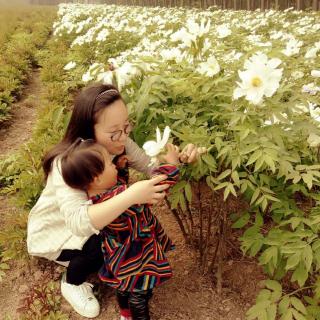 三星洞拜师学道