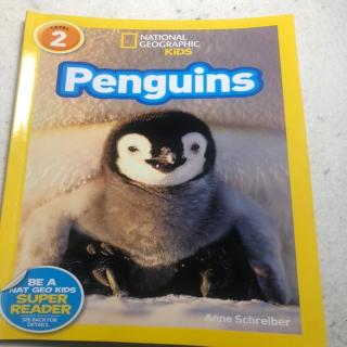 Penguins(chapter1～chapter4)
