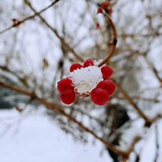 一场雪告诉我