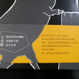 22-49页《一只特立独行的猪》——王小波著