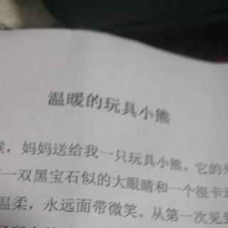 温暖的玩具小熊