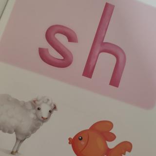 Phonics Book3~sh