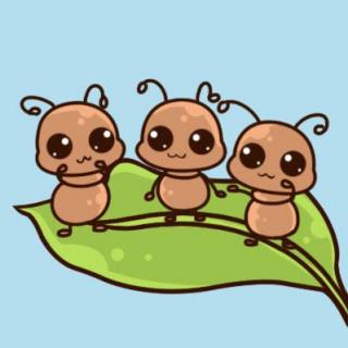 蚂蚁坐“飞机”