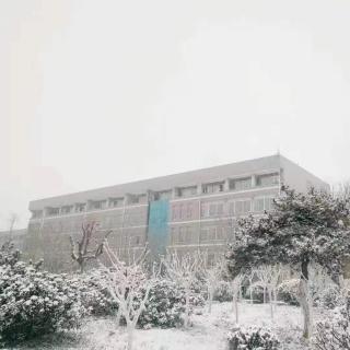 青枝电台|初雪