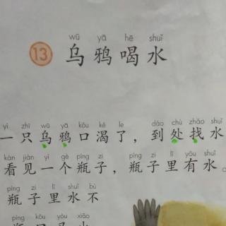 乌鸦喝水