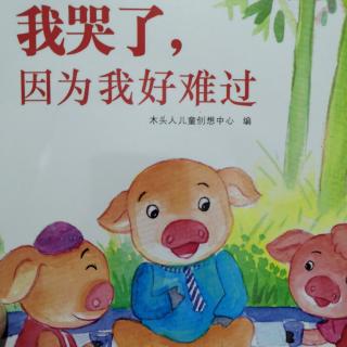 阳光宝宝幼儿园第623期《我哭了，因为我好难过》