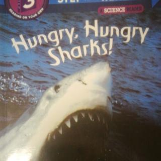 Hungry,Hungry Sharks!