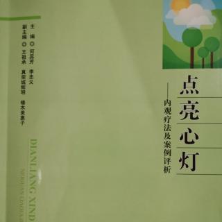 《学生的内观体验  概述》