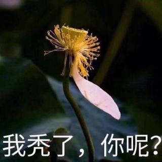 脱发，真的无处不在？