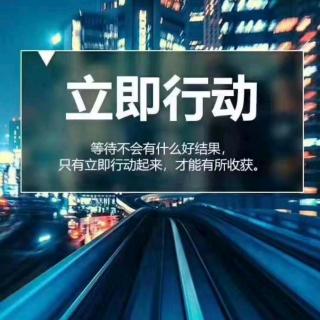 生命1:德国党卫军（SS）第一装甲师进行曲