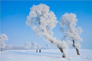 大雪/山里人