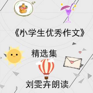 《小学生优秀作文》精选集 : 黑妹