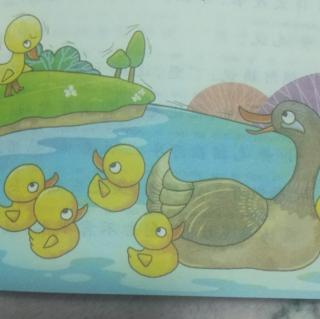 《小鸭子学游水》