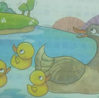 “小鸭子学游水”课堂提示