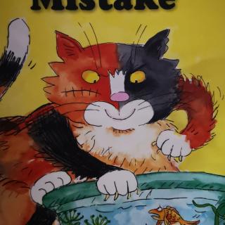 Bully cat's mistake