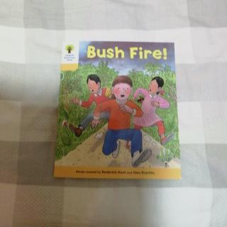 bush fire!