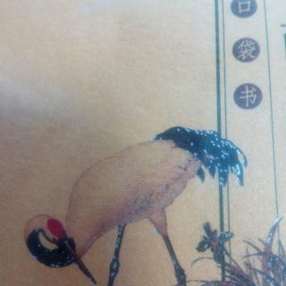 中国古代寓言故事       歧路亡羊