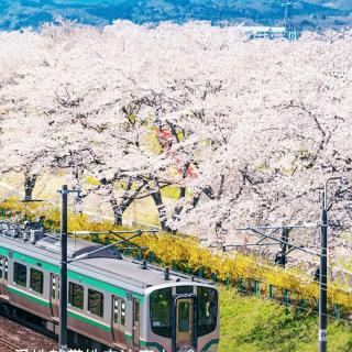 《朝花夕拾·呐喊》50分钟