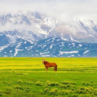 人生无常，得失欢喜空花一场 - 李小四🚉