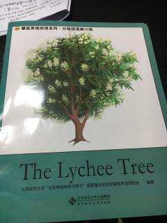 The  Lychee. Tree