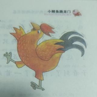 “骄傲的公鸡🐔”读写提示