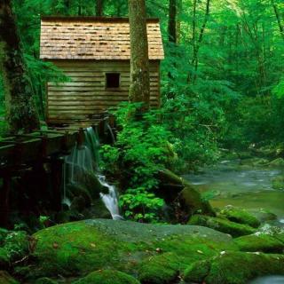 森林里的小屋子