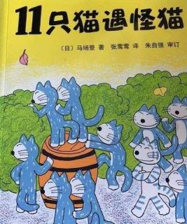 13、《11只小猫遇怪猫》🌟