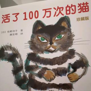 活了100万次的猫