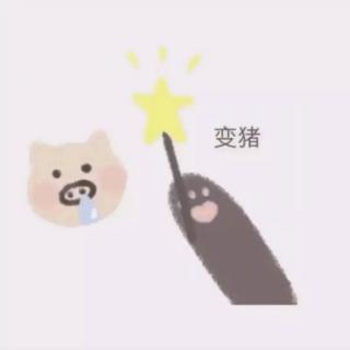 1222音乐留声机青争 《森林》2