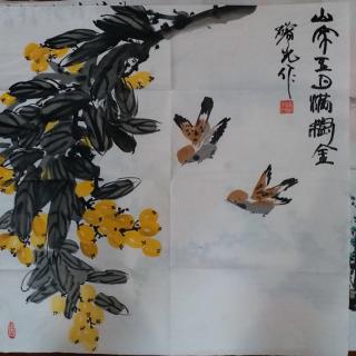 绿毛龟（节选）