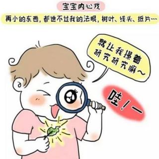 对细微事物感兴趣的敏感期