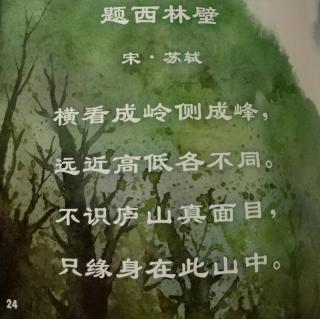 《题西林壁》