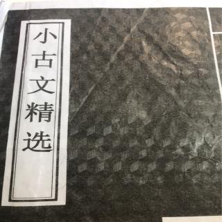 弟子规