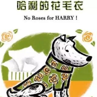 苗妈讲故事｜《哈利的花毛衣》