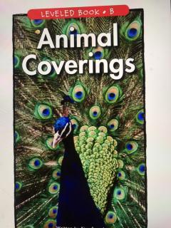 Animal Coverings